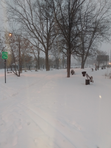 IMG_20220219_070126330[1].jpg
