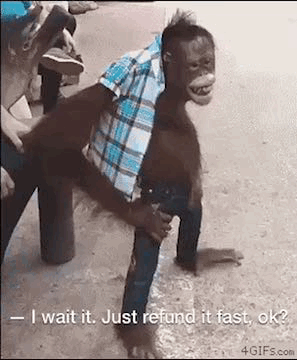 4A4FC4A9-FE7F-49C2-BEB8-C0BECA27BB69.gif.d2740c9357143d9a8278f55465565a68.gif