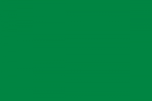 Flag_of_Libya_(1977–2011,_3-2).svg.png