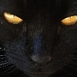 cuteymascotte