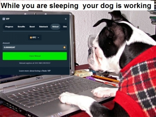mem3.jpg