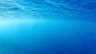 ocean.gif.6daaeb1da41978429318b0a5691d703f.gif