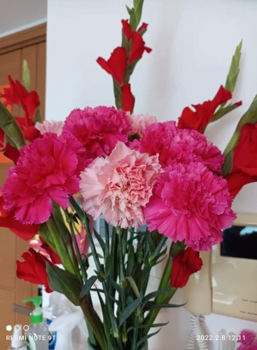 received_2047359242092790.jpeg
