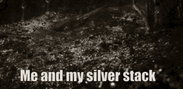 silver-stack.thumb.gif.11c3ed88dae909e85e00ab4c52f6dadc.gif