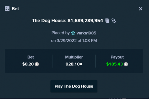 the dog house.png