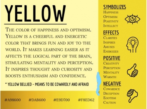Yellow_Regular_LI.jpg