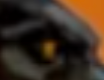image.png.1cab1dc2f483755100ba02a12d857ad2.png