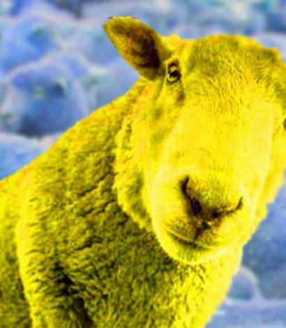 image.png.6d82f9e13ccb2b338b29ec3235d80b4c.png