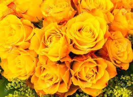 image.png.6e37246ec8a0f1c866accd3cfbc7efba.png