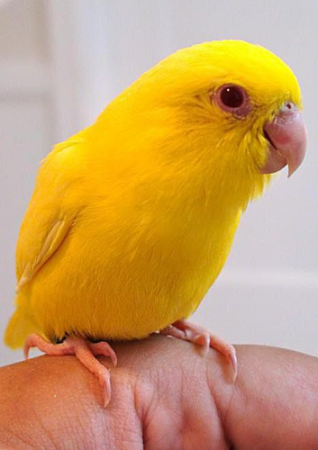 image.thumb.png.83a901eca7368fc3549074f5fbc456df.png