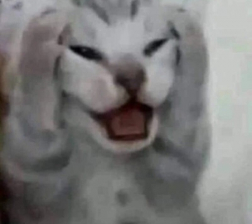 20220322_002405.jpg