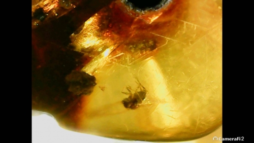 220301_211030.jpg