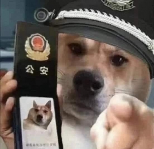251077694_436682917872445_1122855890800822390_n.jpg