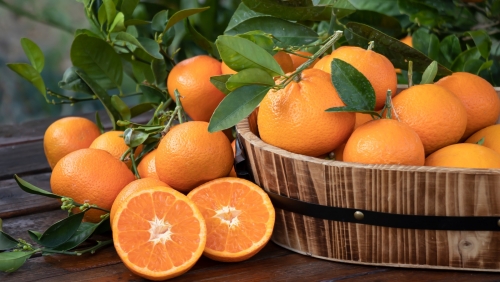 Oranges.jpg