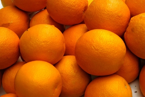 Oranges.thumb.webp.cf2c12499a7b537475efaa55840a6f89.webp