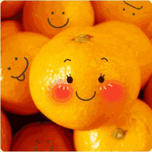 image.png.70bf785f2a100934e9786887d418f0af.png