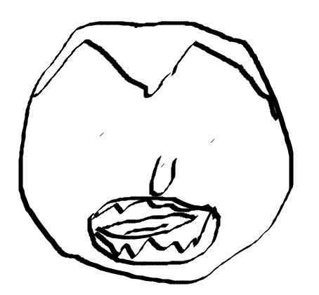 image.png.f9708bd6ba465104f2fb8e4b3a110995.png