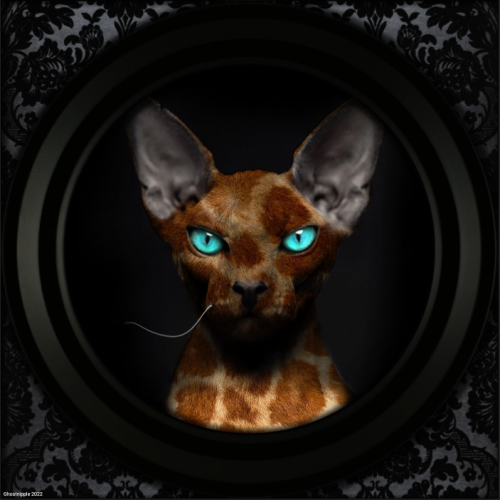 image.thumb.png.febcd5698f9f076b2bd8ce36d0ed11fd.png