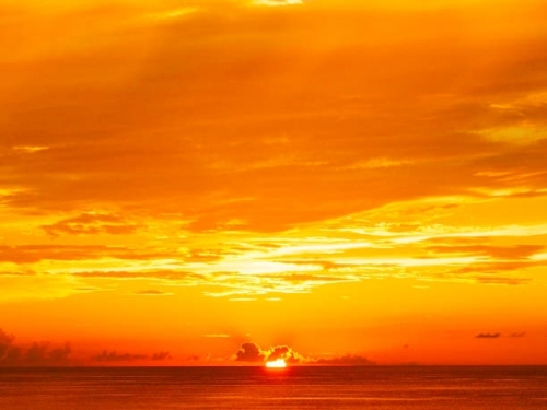 istockphoto-917262756-612x612.thumb.jpg.087ea6446155ccad2642642d5e6cc933.jpg