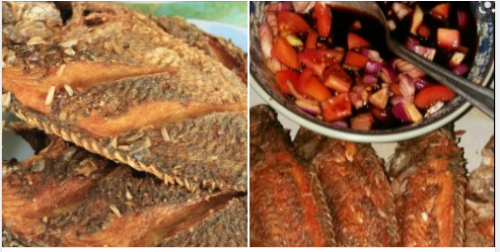 tilapia tiya.PNG