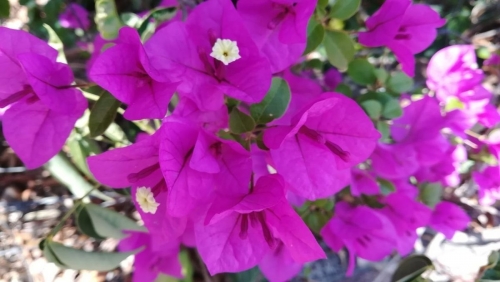 1c9088f3121aa3fa522f6aee521f7e2d.thumb.jpg.e5d351a768db99a8da383830d1bfd120.jpg