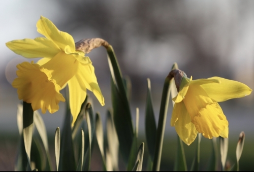 2883BA64-490D-42AE-B2AD-FD3DF987EE44.jpeg