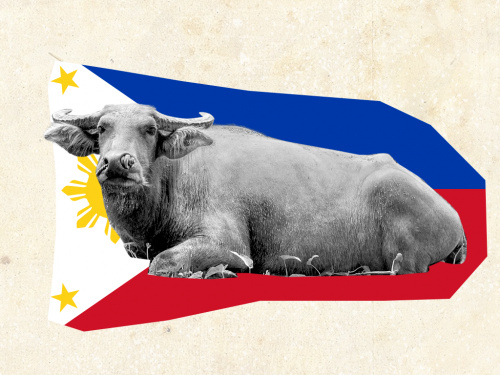 CARABAO-_-PHILIPPINES.png