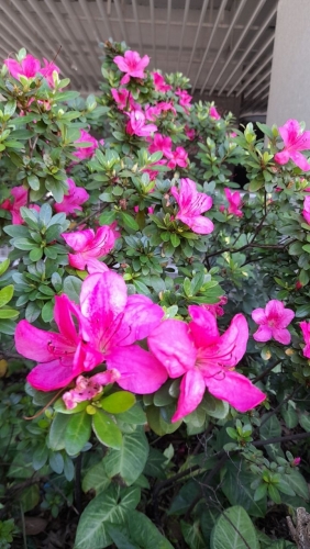 IMG_20220518_190104_107.jpg