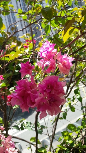 IMG_20220519_152036_692.jpg