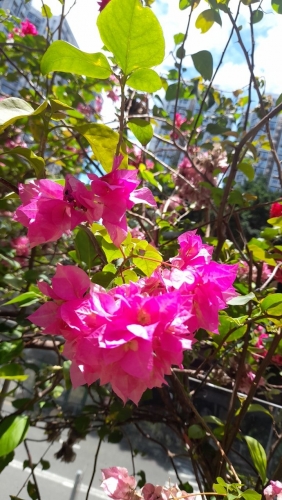 IMG_20220519_152039_275.jpg