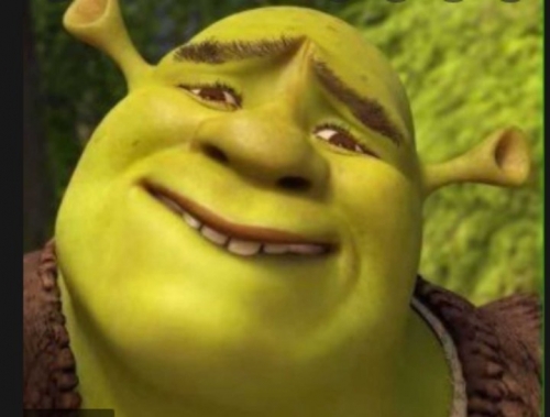 USER_SCOPED_TEMP_DATA_orca-image-1690168830.jpeg
