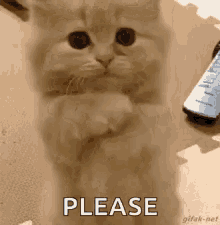 image.png.747f017068ed6264ab2430740b44f1a2.png