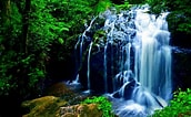 image.png.e37e1a654e1187391f174985d1a01429.png