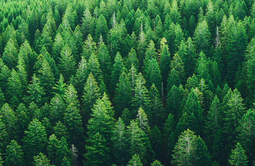 image.thumb.png.952f47d05267dbe5e7e9c0911ed62bf5.png