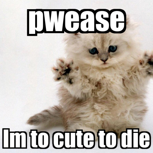 image.thumb.png.e33be1e27b55764d09bf4ad580a49f06.png