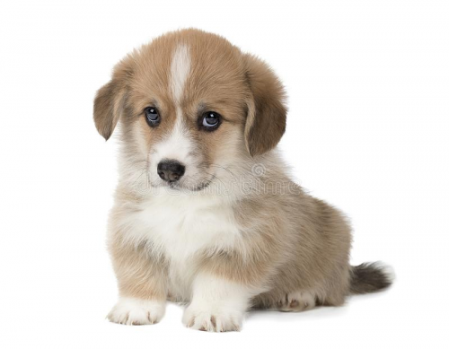 image.thumb.png.f1a54c3d82a4aecc1693bba8d22104bb.png