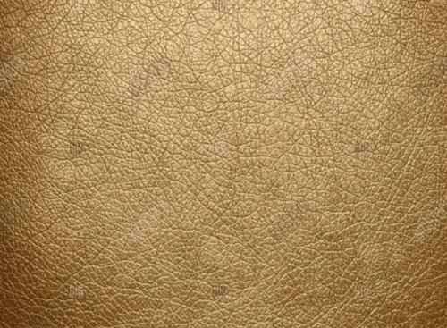 IMG_20220625_204644.jpg