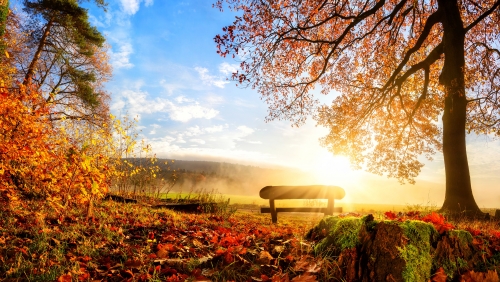 Seasons_Autumn_Scenery_500285_3840x2160.thumb.jpg.2c1407c220eddceb245e0f5c1871786e.jpg