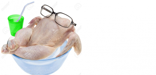 chickn.thumb.png.1f5c06ba338e8ce23d21c0d3188f7d51.png