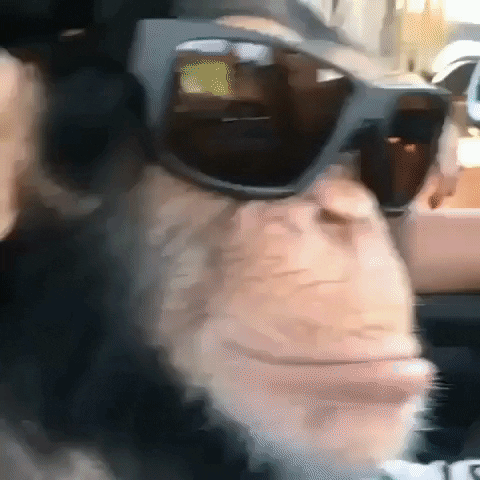 giphy.gif.bae7eaff058a6993e9ff838ea5d0eda8.gif