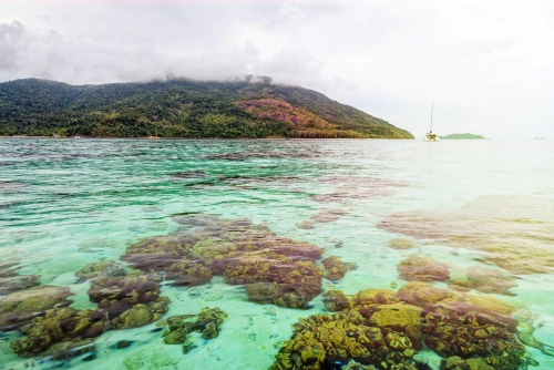 hermosa-naturaleza-paisaje-claro-agua-mar-verde-arrecifes-coral-poco-profundos-koh-lipe-fondo-isla-k-parque-nacional-tarutao-satun-tailandia_536080-1486.thumb.webp.e4a7b3ccf8b9712787ea8ff72011a100.webp