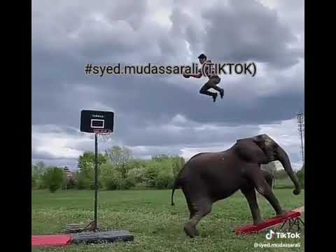 image.png.4e9f447ef2a01556e33fcbf6dfa7038d.png
