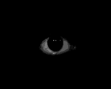 image.png.f66aaa32a5582645104f01434dca293f.png