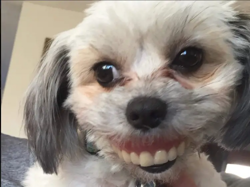 image.thumb.png.adde4978fcdd79dda5af7b5cd1a5756c.png