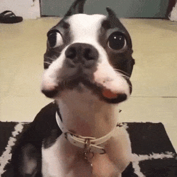 0cce9cb8cbdda46dae3531a12b73c7fa.gif.79c86301acff3eb4f931a87f60642d2f.gif
