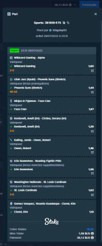 stake 3.png