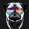 Rayzenn80