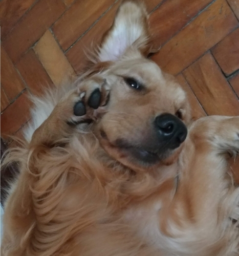 P_20191213_062628_1.thumb.jpg.80174ec5cb73c4d96bd897f7679de9c2.jpg