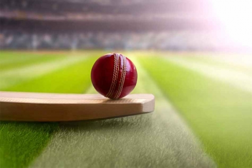 cricket-1642491052.jpg