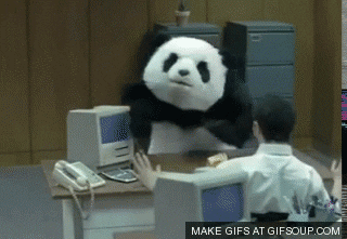 giphy.gif.f274e19d1e77a0cb8a23e6bf5cf7b278.gif